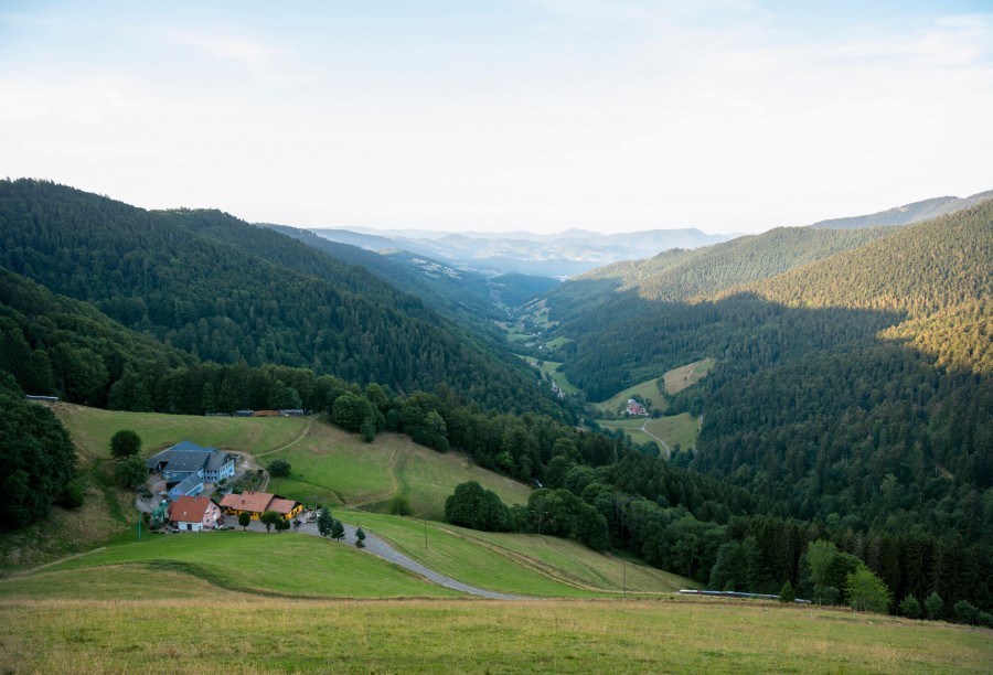 Quelle est la longueur de la route des crêtes des Vosges ?